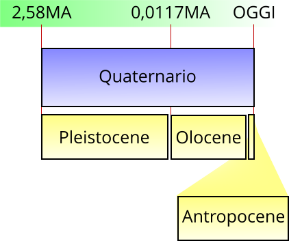 Quaternario, pleistocene olocene e antropocene
